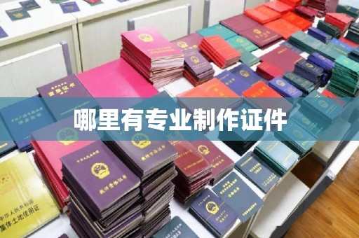 汾西哪里有专业制作证件
