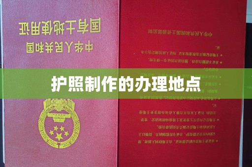 汾西护照制作的办理地点
