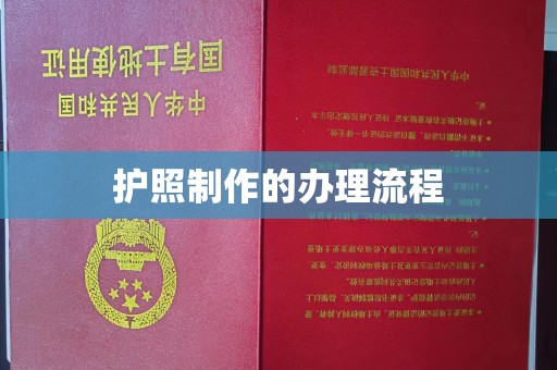 汾西护照制作的办理流程