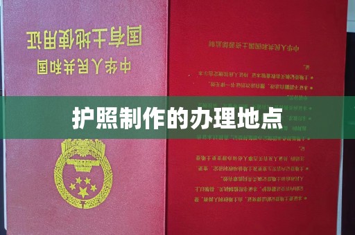 汾西护照制作的办理地点